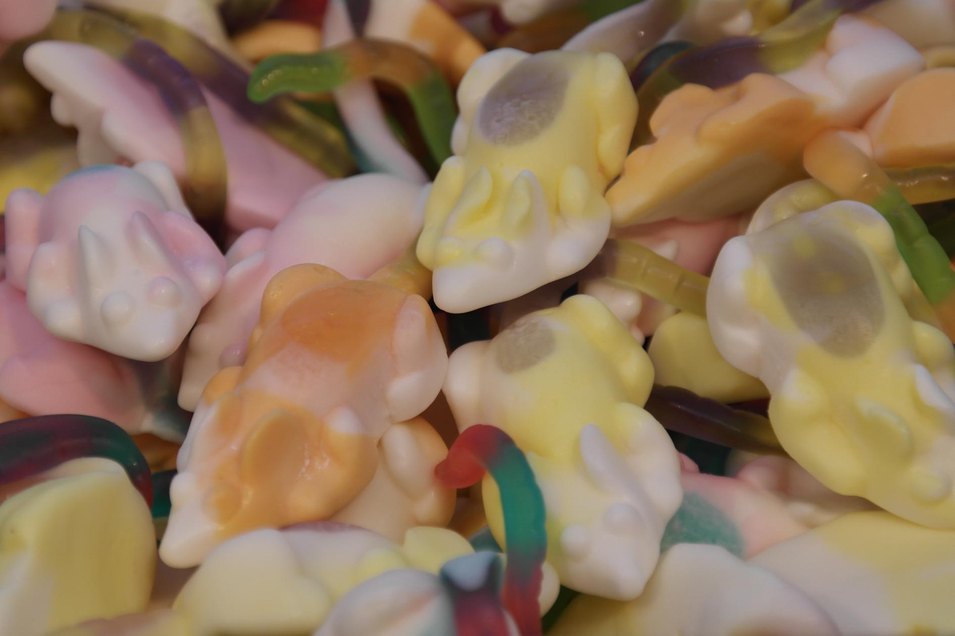 grote gekleurde muizen 