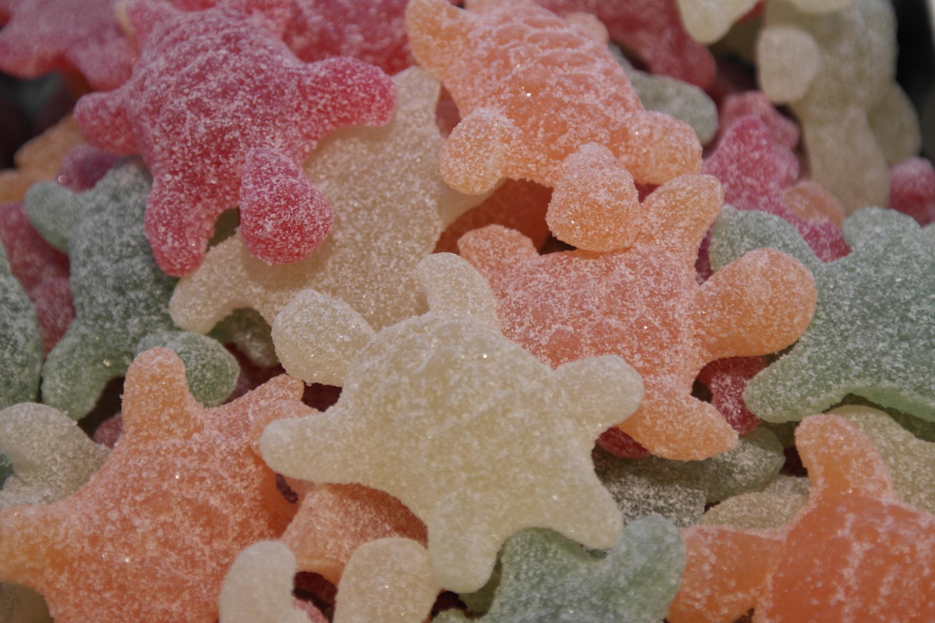 Zure Schildpad Geldhof