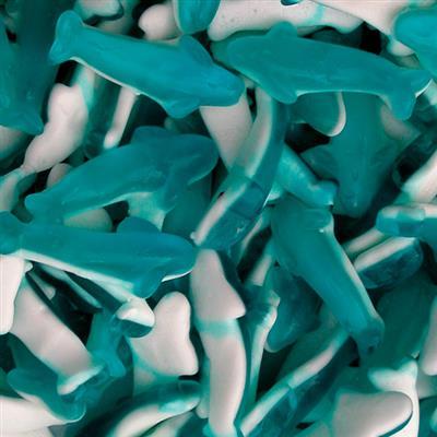 Blauwe dolfijnen - Astra